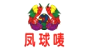 凤球唛品牌logo